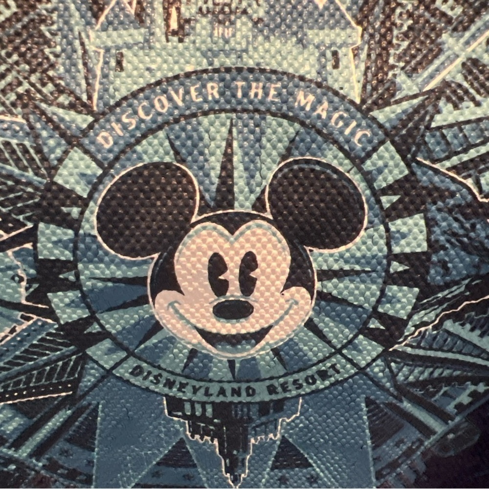 Disneyland Resorts Unisex Sweatshirt Blue L Latitude Longitude front pocket - Picture 4 of 6
